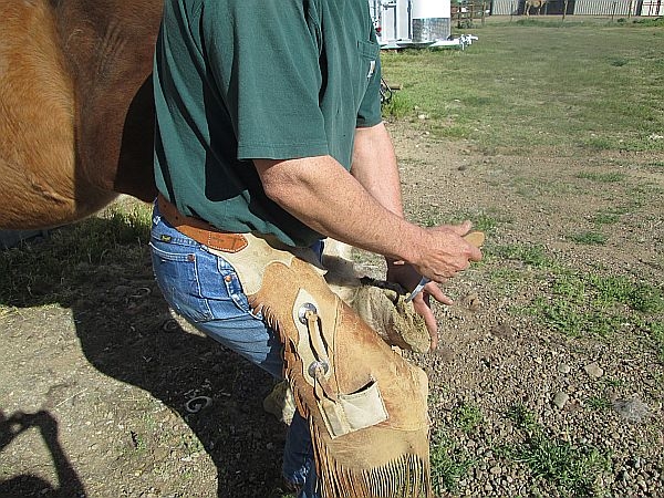E-Mail 'Letter Re: How To Trim Your Horse's Feet' To A Friend