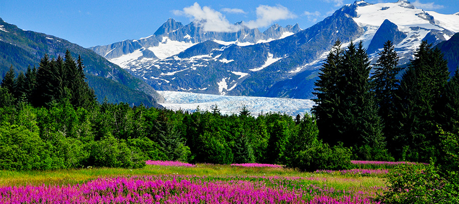 Letter Re: Alaska As A Survival Location