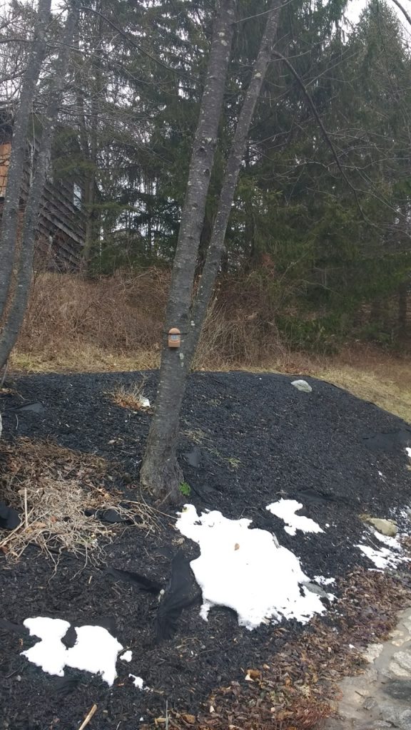 Letter Re Harbor Freight Motion Alarm