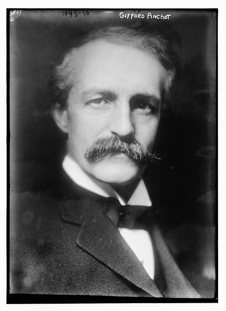 Gifford Pinchot