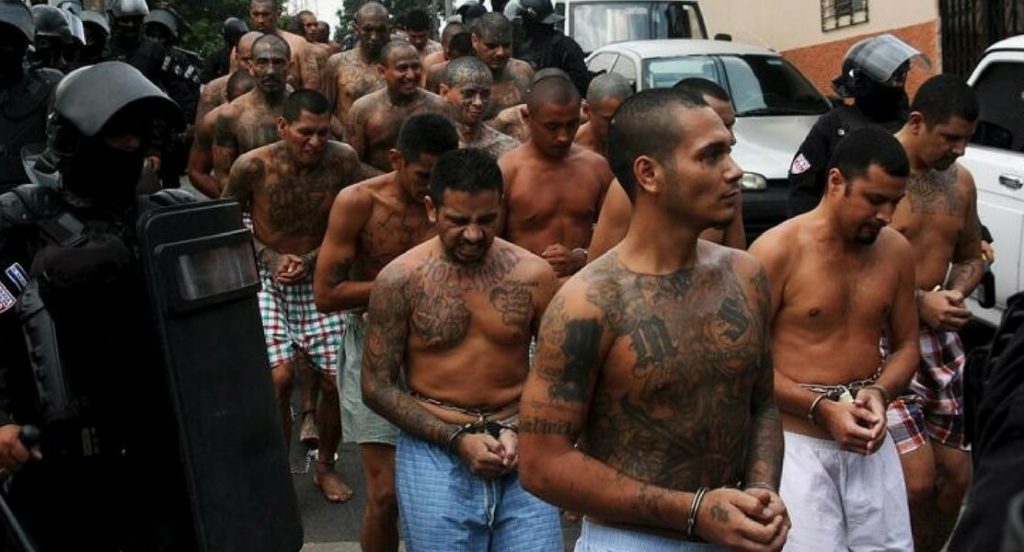 MS-13 Gang Members.