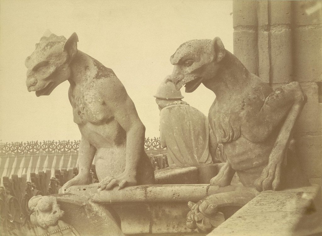 Notre Dame Gargoyles