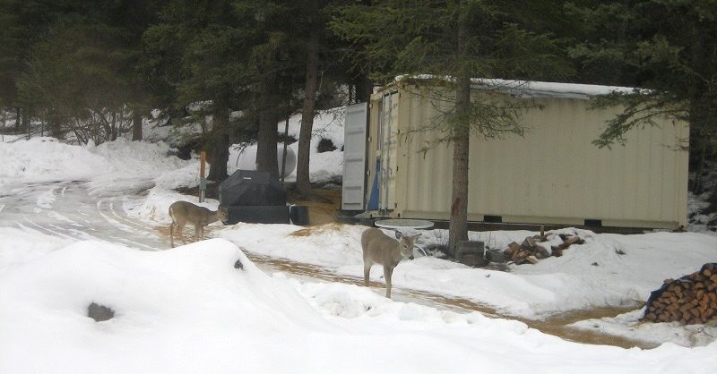 A CONEX Cabin at Our BOL, by Montana Guy. Partitioned 2x4s walls