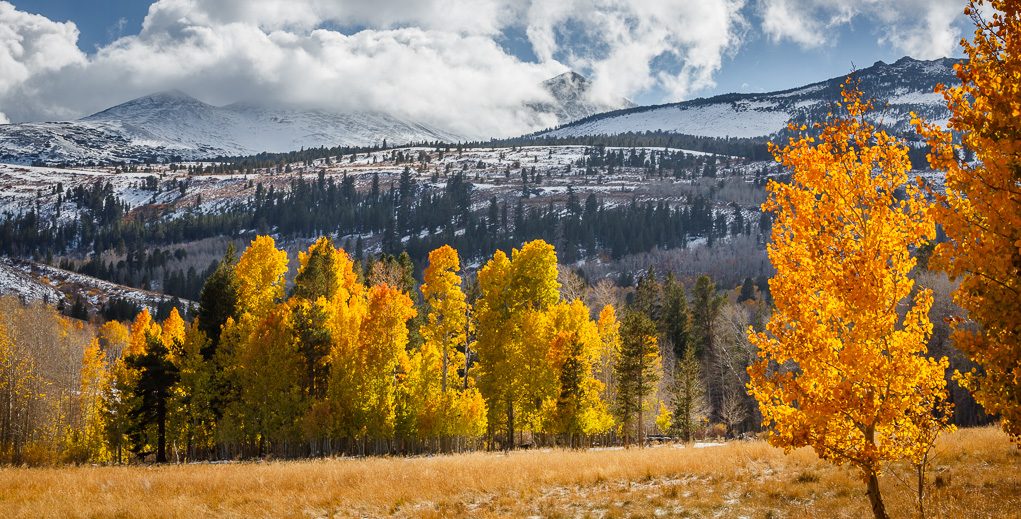 Fall Colors In The American Redoubt Region. Montana's Autumn Beauty.