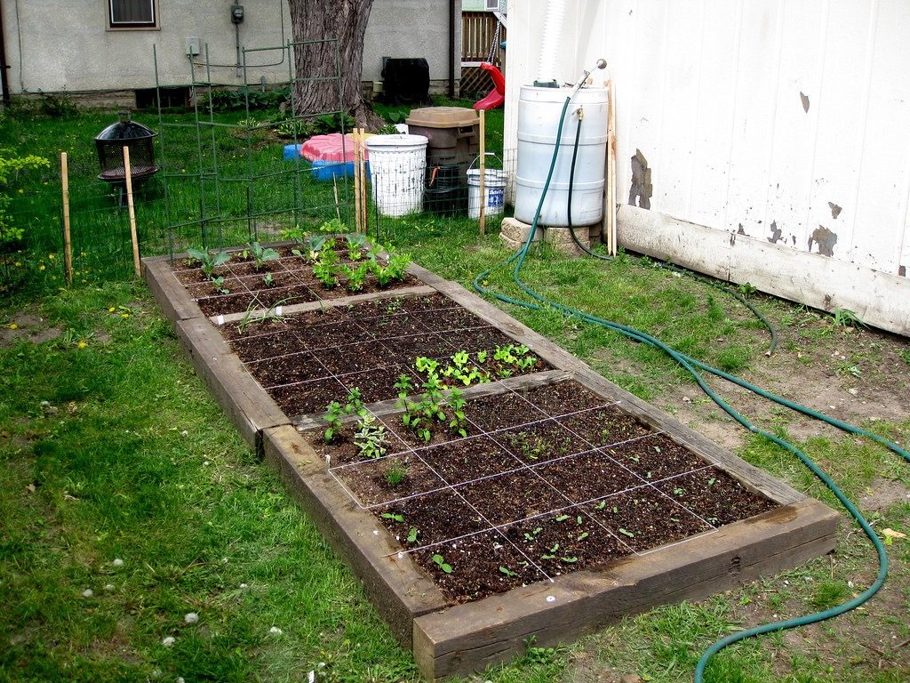 Square Foot Gardening