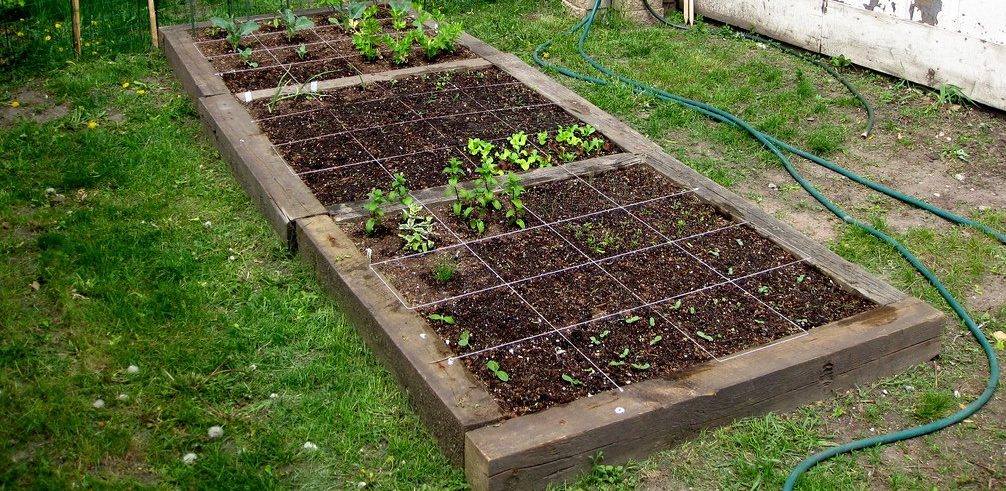 Square Foot Gardening. Your Engineered House, by Rex Roberts