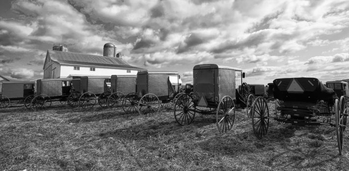 Thoughts on an Amish Auction and Preparedness, by 3AD Scout