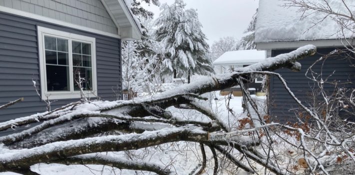 Lessons Learned From a Winter Storm – Part 2, by Michael X.
