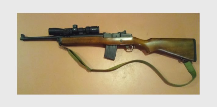 My Approach to  a Semi-Auto Scout Rifle – Part 1, by Swampfox