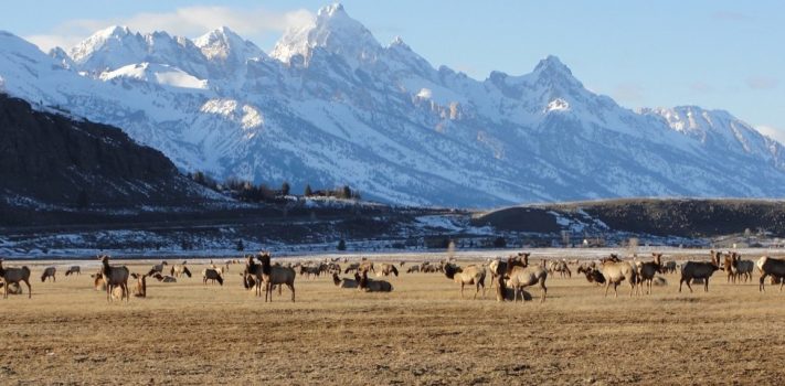 SurvivalBlog’s American Redoubt Media of the Week