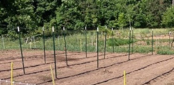 Practical Homestead Irrigation – Part 3, by A.F.