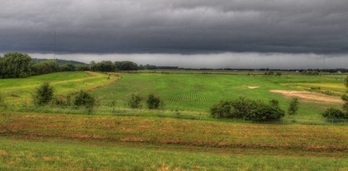 Neighbors, Friends and Enemies, by SaraSue