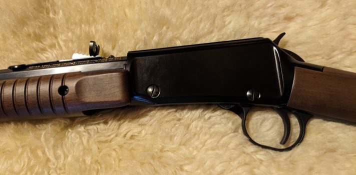 Henry Pump Action Rifle in .22WMR, by Thomas Christianson