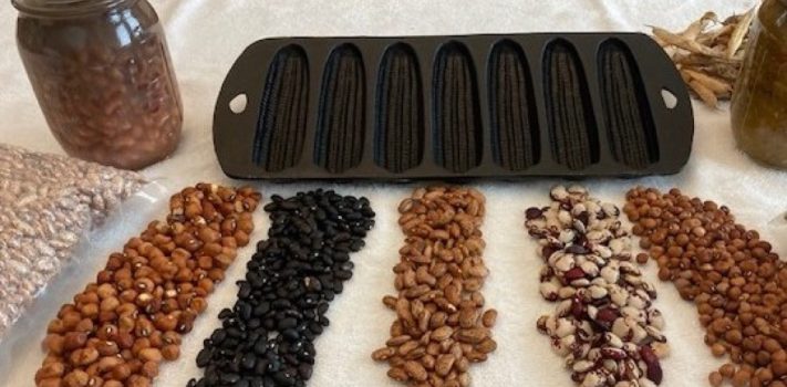 Growing and Preparing Dried Beans – Part 1, by A.F.