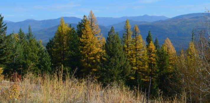 Editors’ Prepping Progress