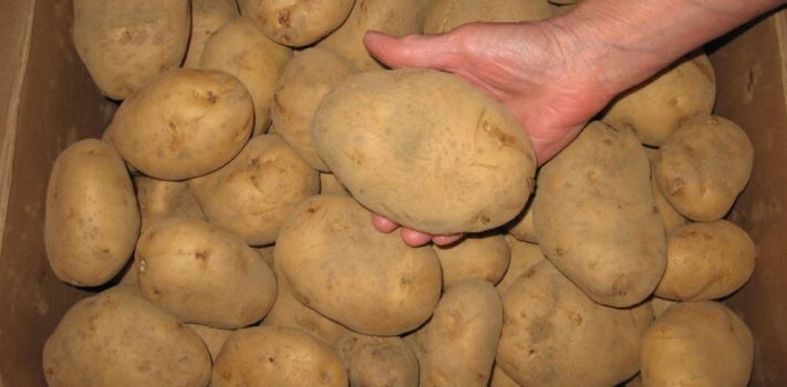 Preparedness Notes for Wednesday — December 3, 2025