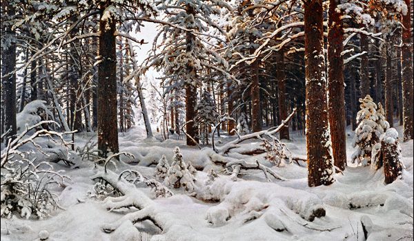 Preparedness Notes for Sunday — December 21, 2025