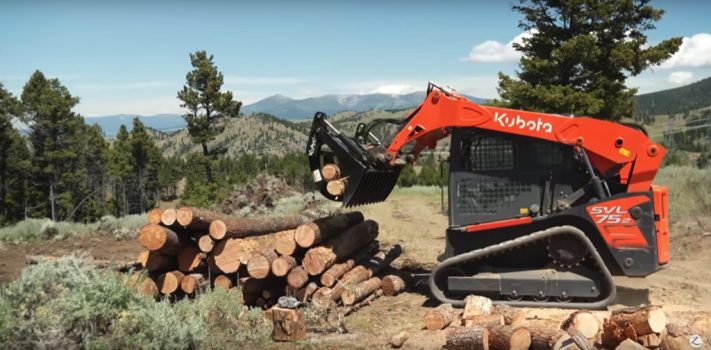 SurvivalBlog Readers’ & Editors’ Snippets