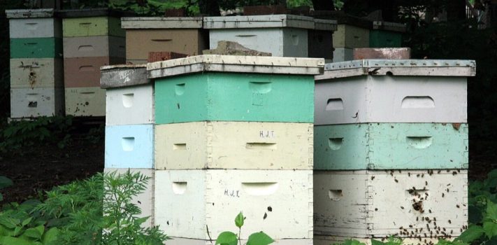 Editors’ Prepping Progress