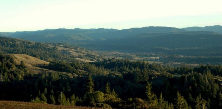 My Grandfather’s Wisdom: Ernest E. Rawles