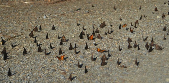 Editors’ Prepping Progress