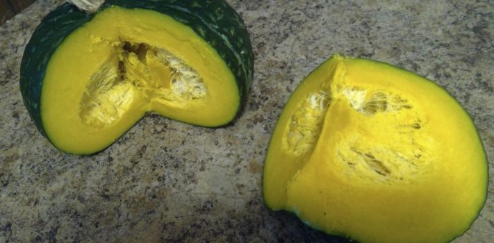 Growing Kabocha Squash, by Rookie Gardener