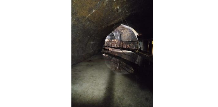 SurvivalBlog’s News From The American Redoubt