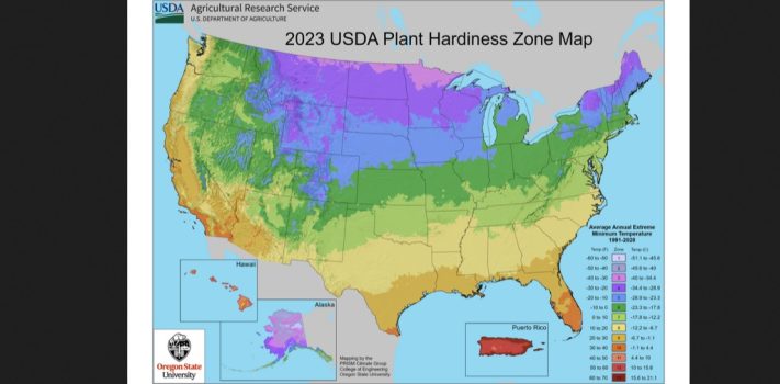 SurvivalBlog Graphic of the Week 