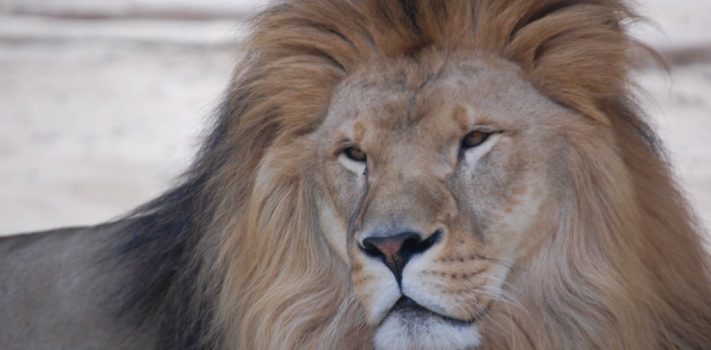 Preparedness Notes for Wednesday — November 26, 2025