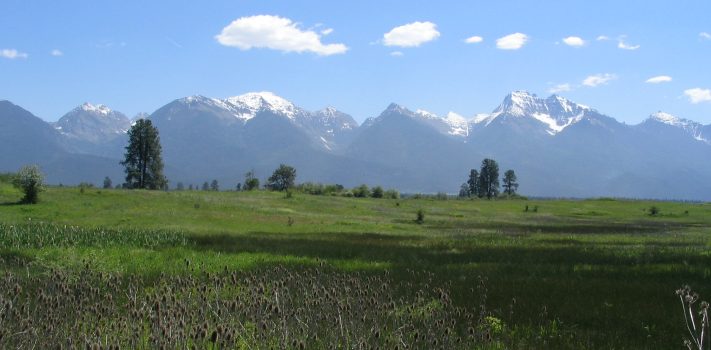 Editors’ Prepping Progress