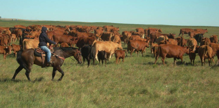 SurvivalBlog’s American Redoubt Media of the Week