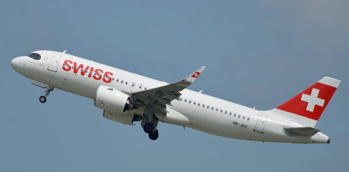 The Survivalist’s Odds ‘n Sods