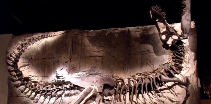 SurvivalBlog’s American Redoubt Media of the Week