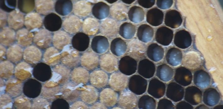 A Systematic Framework for Identifying Real-World Threats, by Danield MacLeod