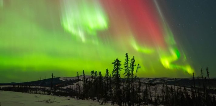 SurvivalBlog Graphic of the Week