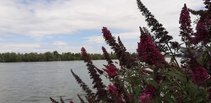 Preparedness Notes for Wednesday — December 31, 2025