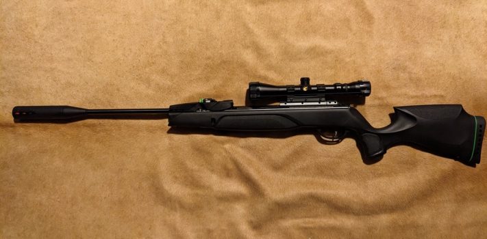 Gamo Swarm Magnum Pro Gen 3i in .22 Caliber, by Thomas Christianson