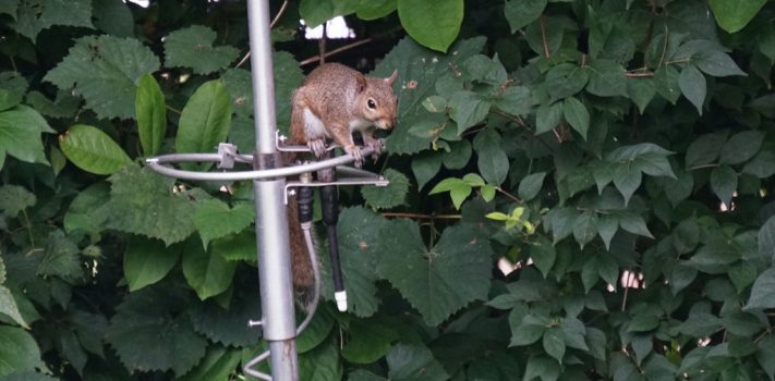 Antenna Building: Theory and Practice – Part 1, by Hoofer