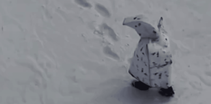 The Survivalist’s Odds ‘n Sods