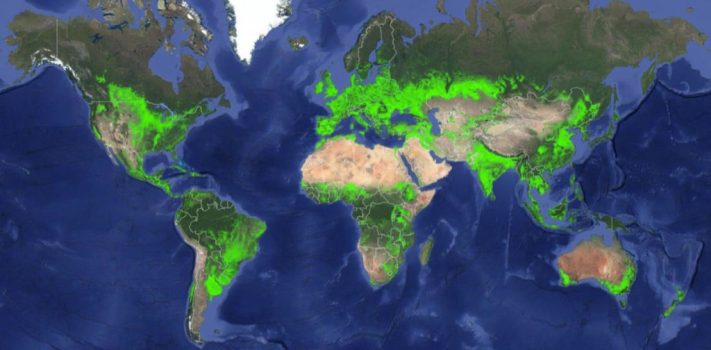 SurvivalBlog Graphic of the Week