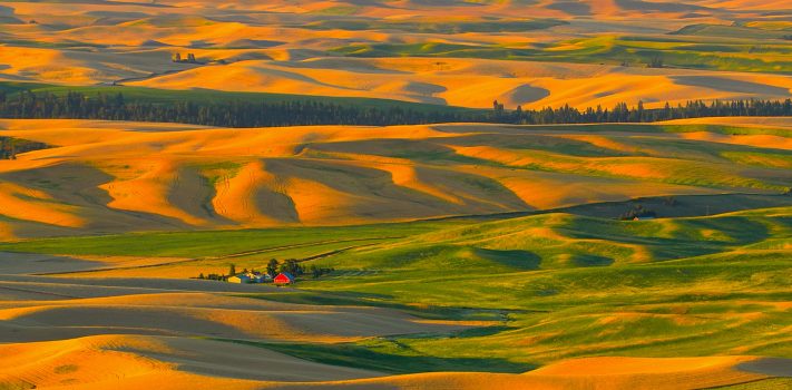 SurvivalBlog’s American Redoubt Media of the Week