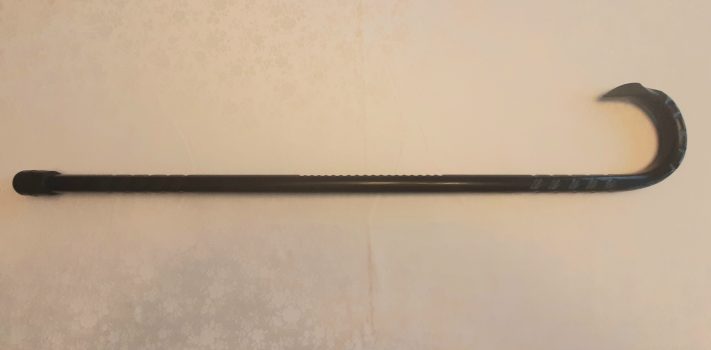 The Fighting Cane, by “Kim Kipling”