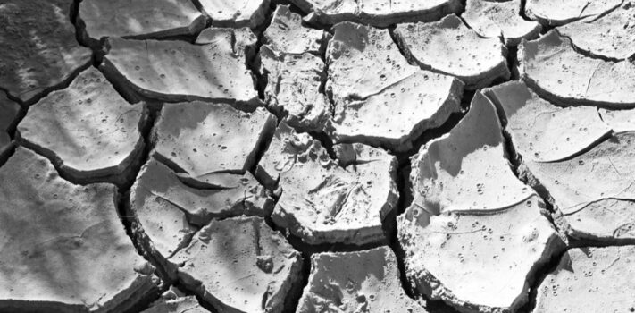 Economics & Investing Media of the Week