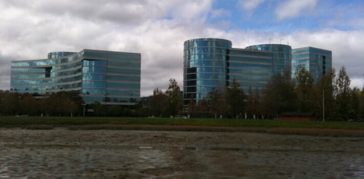 The Survivalist’s Odds ‘n Sods