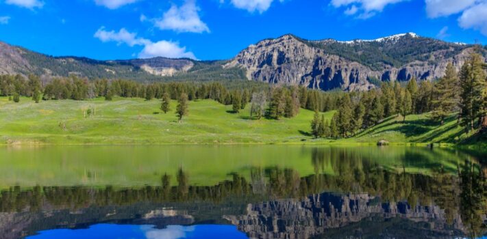 SurvivalBlog’s American Redoubt Media of the Week