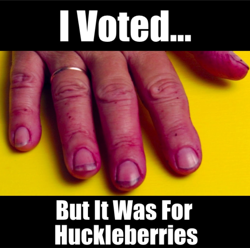 Huckleberries Meme