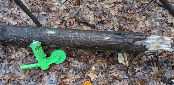 Mingo Firewood Marker, by Thomas Christianson